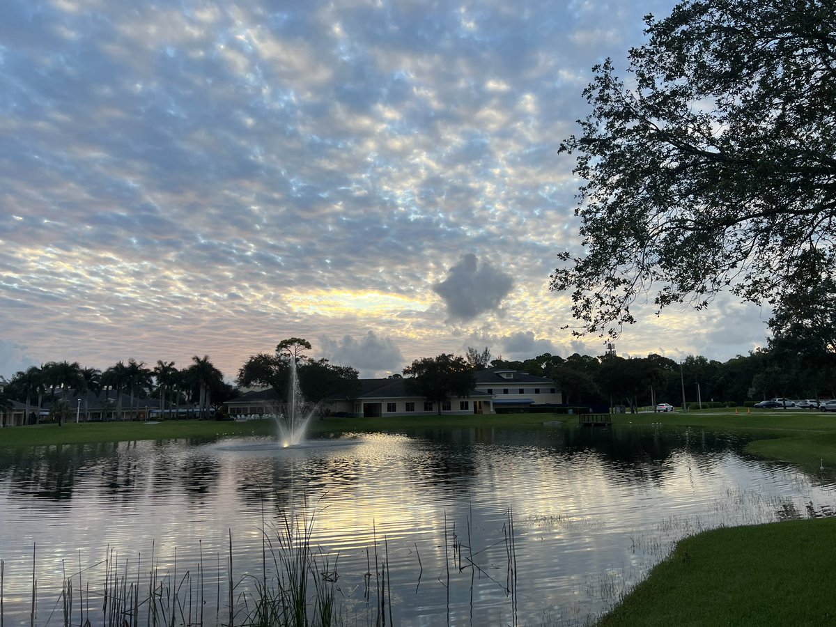 It’s a beautiful day! Good luck to all who are taking the PSAT and SAT today! ❤️ #nbpeagles