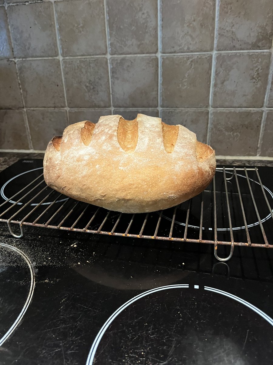 1Glovsie's tweet photo. @gnomeicide Prefer a bloomer myself 🍞🥖 https://t.co/geUxkpCcmQ