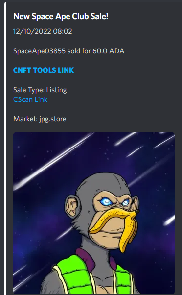 vikingstray's tweet photo. Nice buys on #spaceapeclub #cnfts check out the latest snipes!
here are a few examples of the sales!!!
#cosmiceyes #spaceportal background #glowingeyes pretty cool stuff!!! #shootstarbackground!
#redfur #greyfur and #redfur! all of them fine selections https://t.co/Nhds2X7dr0