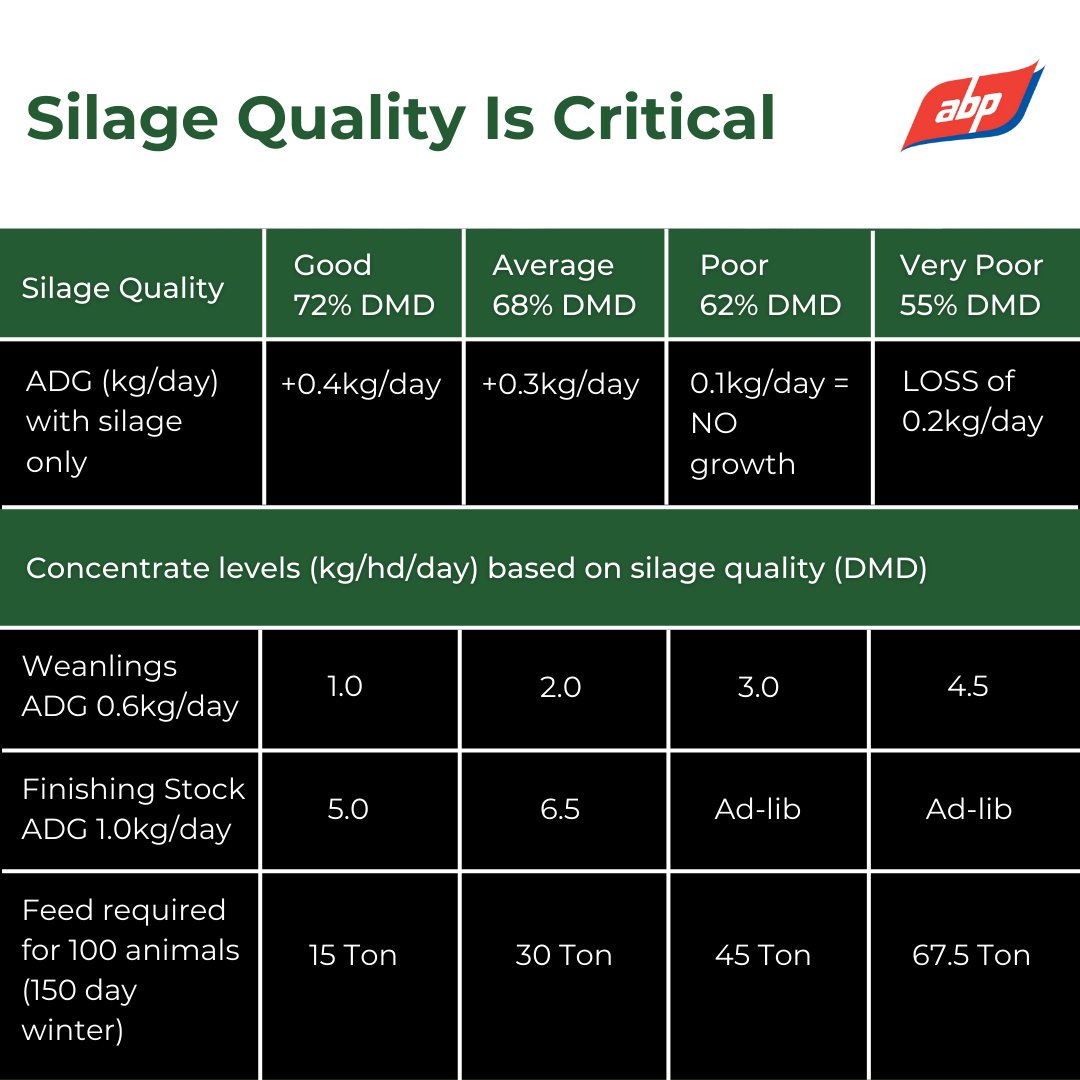 abpfarming's tweet photo. Have you tested your silage?🔍
The difference in 68% vs 72% DMD silage could be costing you €6,750 in EXTRA FEED COSTS❗💰😲
#WinterFeeding #SilageQuality #BeefFarming #TeamBeef #WinterHousing #Farm365 https://t.co/1ANpsauNmD