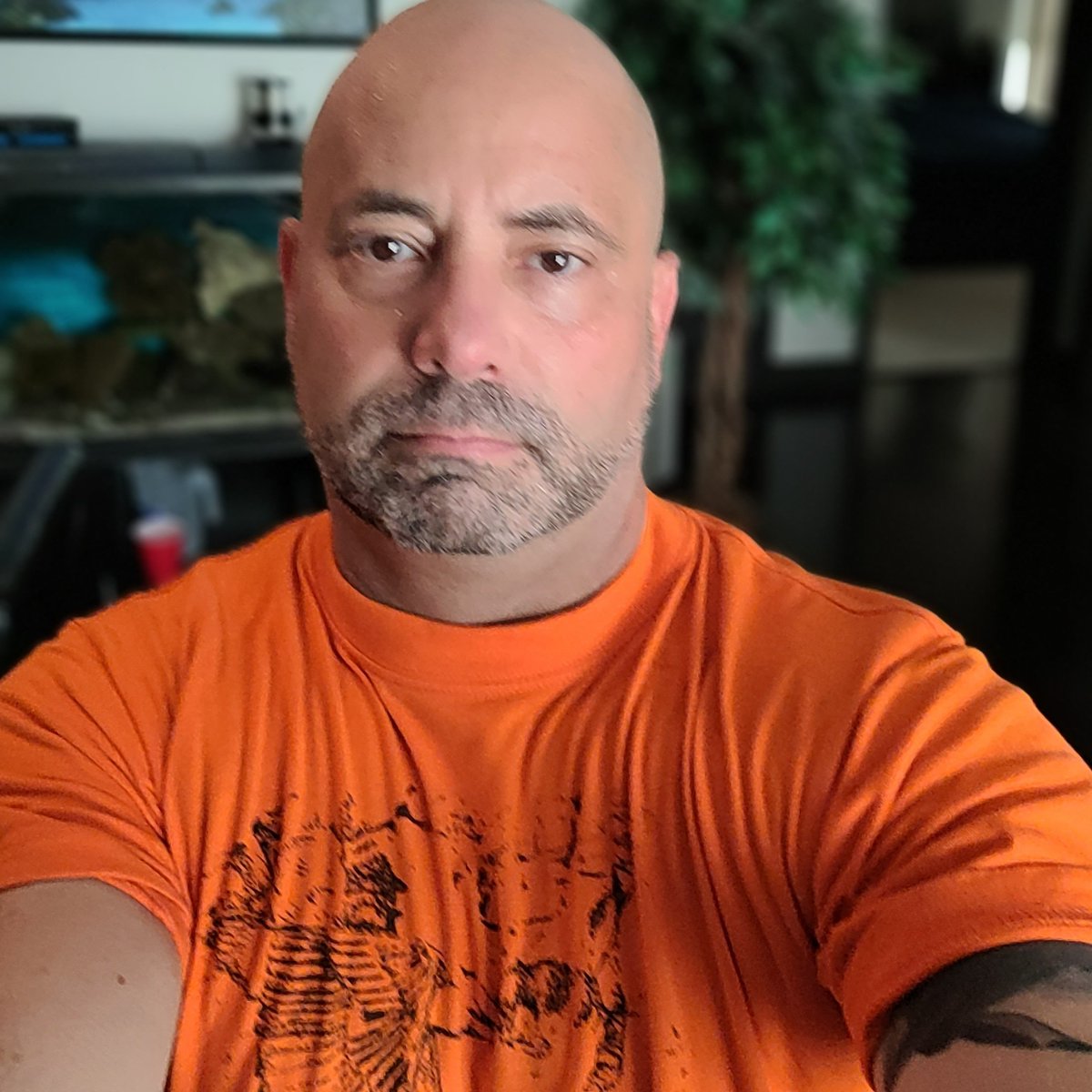 Jason Colero tweet media