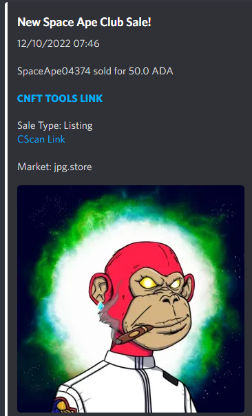 vikingstray's tweet photo. Nice buys on #spaceapeclub #cnfts check out the latest snipes!
here are a few examples of the sales!!!
#cosmiceyes #spaceportal background #glowingeyes pretty cool stuff!!! #shootstarbackground!
#redfur #greyfur and #redfur! all of them fine selections https://t.co/Nhds2X7dr0