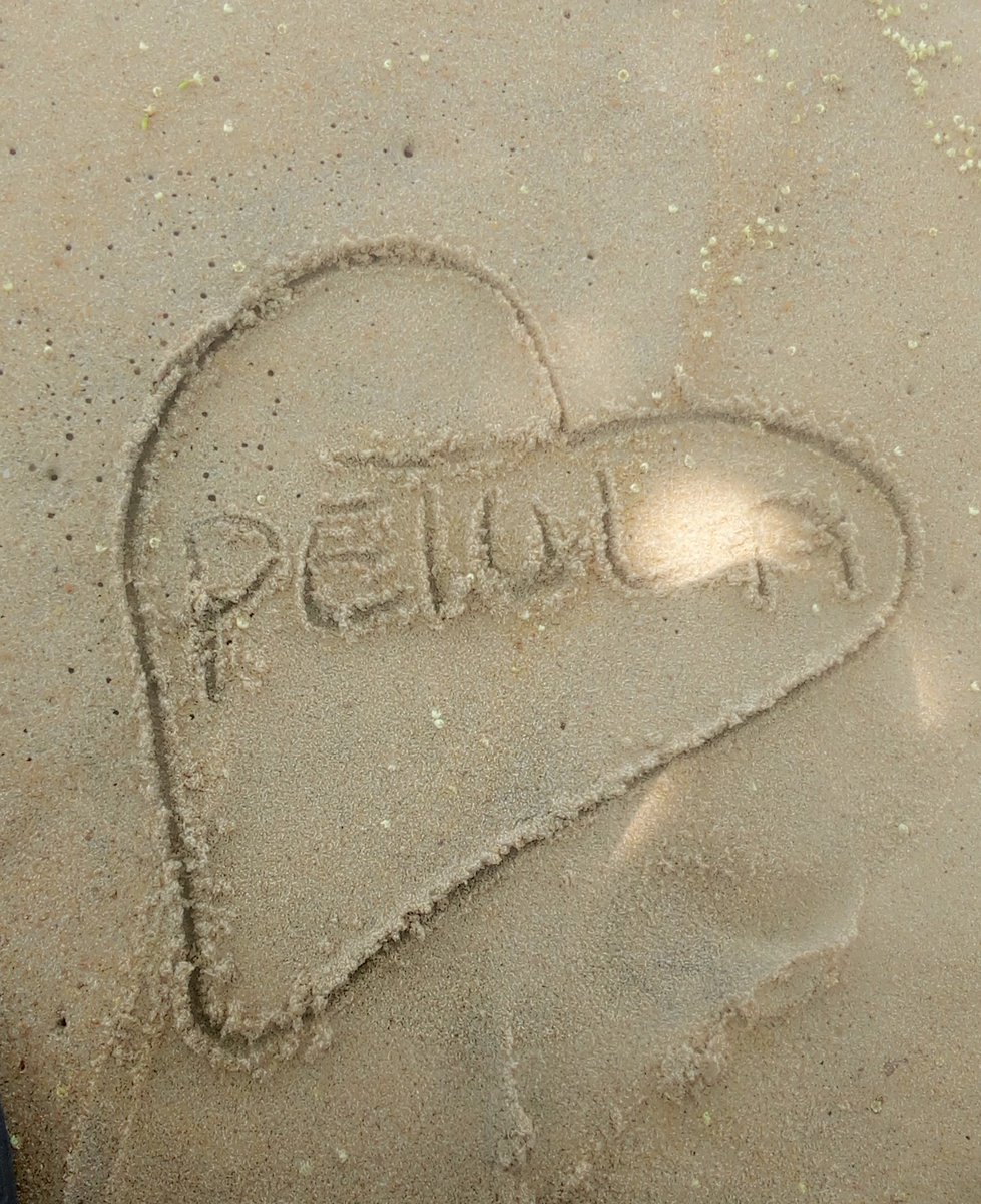 Oumar7523's tweet photo. @Zoya_2023 https://t.co/xCzNHgRJNO