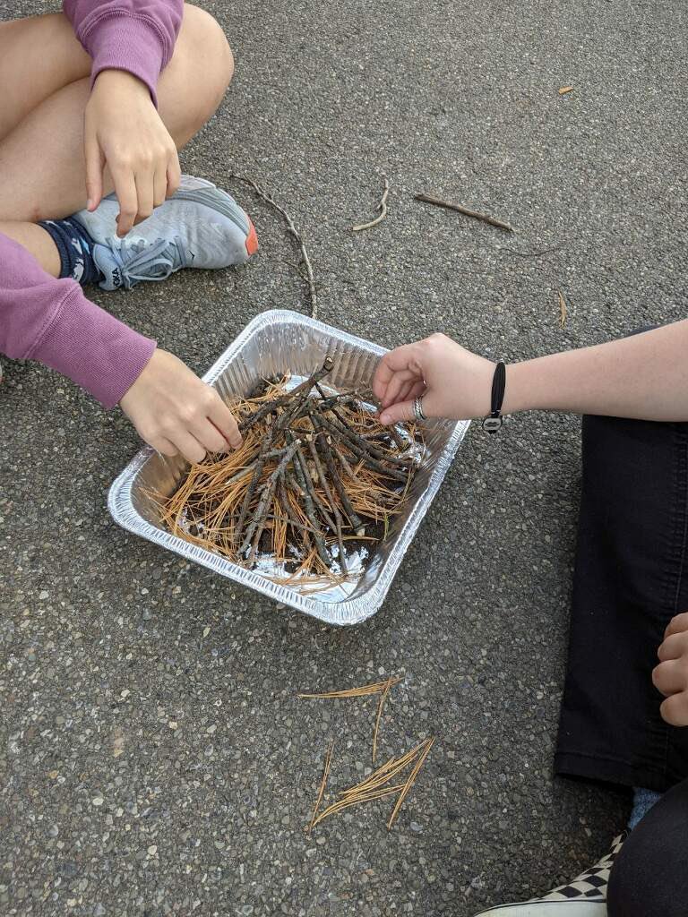 ICSDPEandHealth's tweet image. Ms.Norsen and Outdoor Education back at it again!