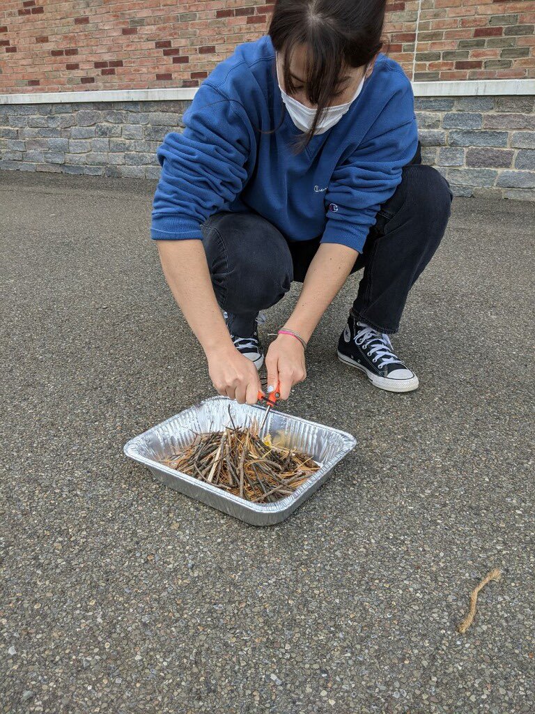 ICSDPEandHealth's tweet image. Ms.Norsen and Outdoor Education back at it again!