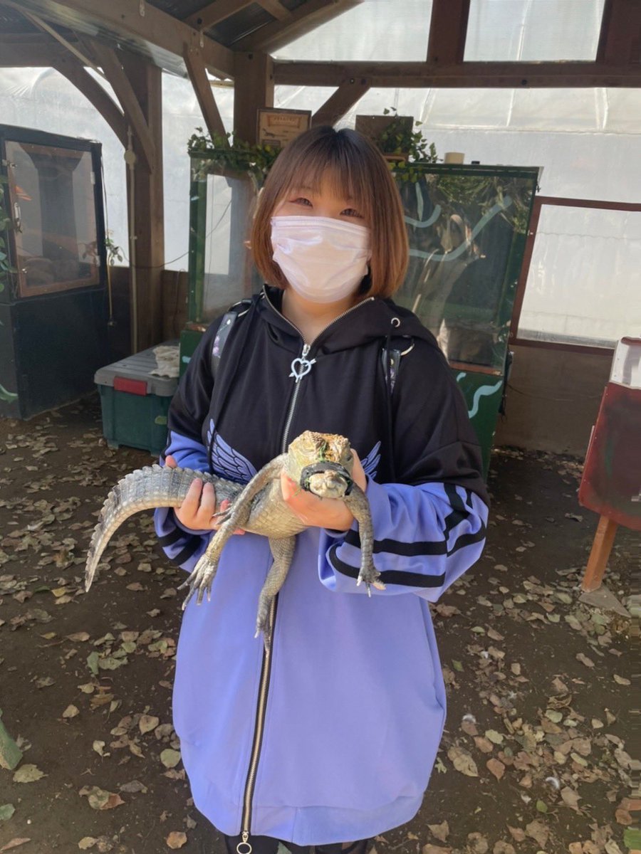 Esqtxl67boxnlm Esqtxl67boxnlm