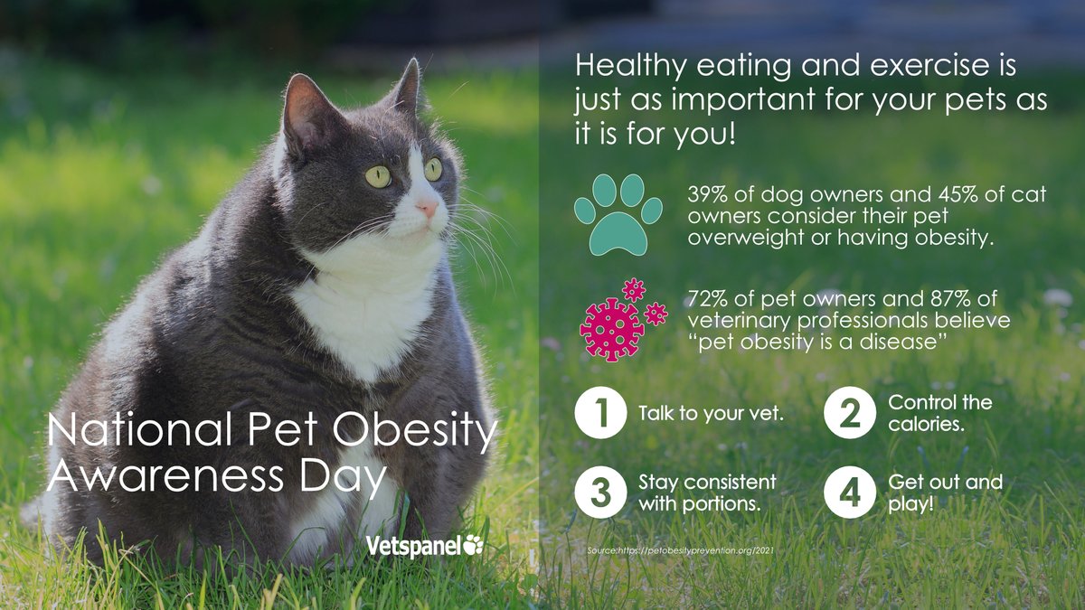 Vetspanel's tweet photo. To raise awareness and promote healthier diets for our pets, animal lovers get together one day a year to celebrate National Pet Obesity Awareness Day. 

#PetObesityAwarenessDay #NationalPetObesityAwarenessDay https://t.co/kK9UxW800R