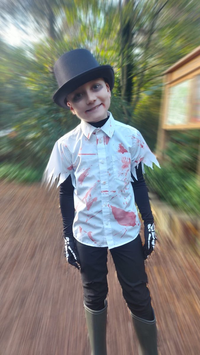 Holt Country Park tweet media