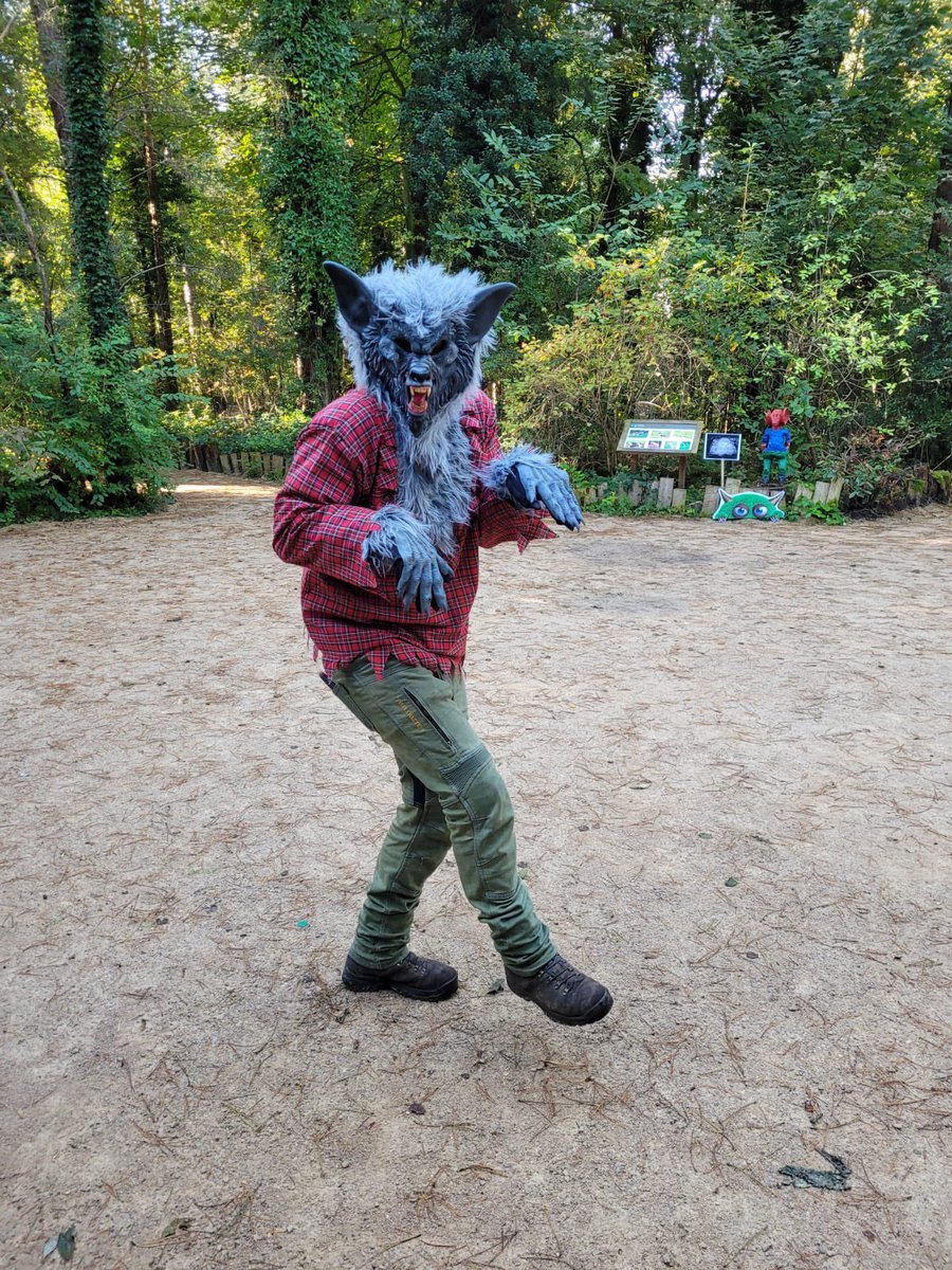 Holt Country Park tweet media