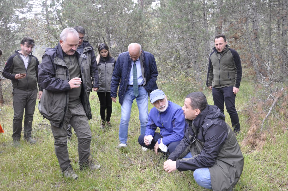 kastamonuobm's tweet photo. Kastamonu Üniversitesi Orman Fakültesi Orman Mühendisliği Bölümü son sınıf öğrencilerinin  Ormancılık Uygulamaları Dersi kapsamında İhsangazi Orman İşletme Müdürlüğü İhsangazi Orman İşletme Şefliğinde Silvikültür tatbikatı gerçekleştirildi. https://t.co/Ta4sgC3BSY