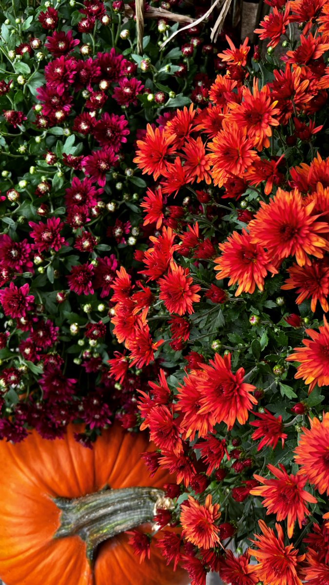 madeline_mitch's tweet photo. fall has definitely hit #RhodeIsland https://t.co/RdtZLCOzK9