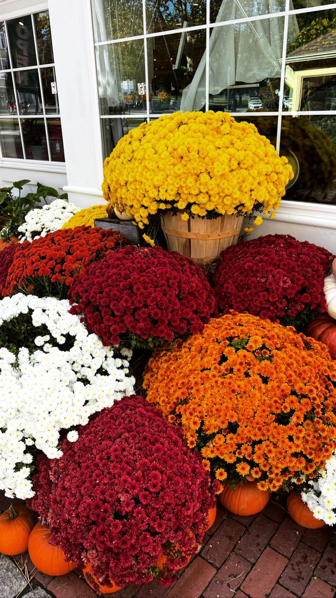 madeline_mitch's tweet photo. fall has definitely hit #RhodeIsland https://t.co/RdtZLCOzK9