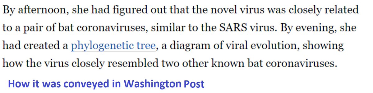 breakfast_dogs's tweet photo. Her story was later published in a @washingtonpost article, but a crucial detail. was omitted -that she had identified the closest viral sequences to the new virus as ZC45 and ZXC21, which had several crucial differences to other known SARS-like viruses. https://t.co/dvT3DC3k7g