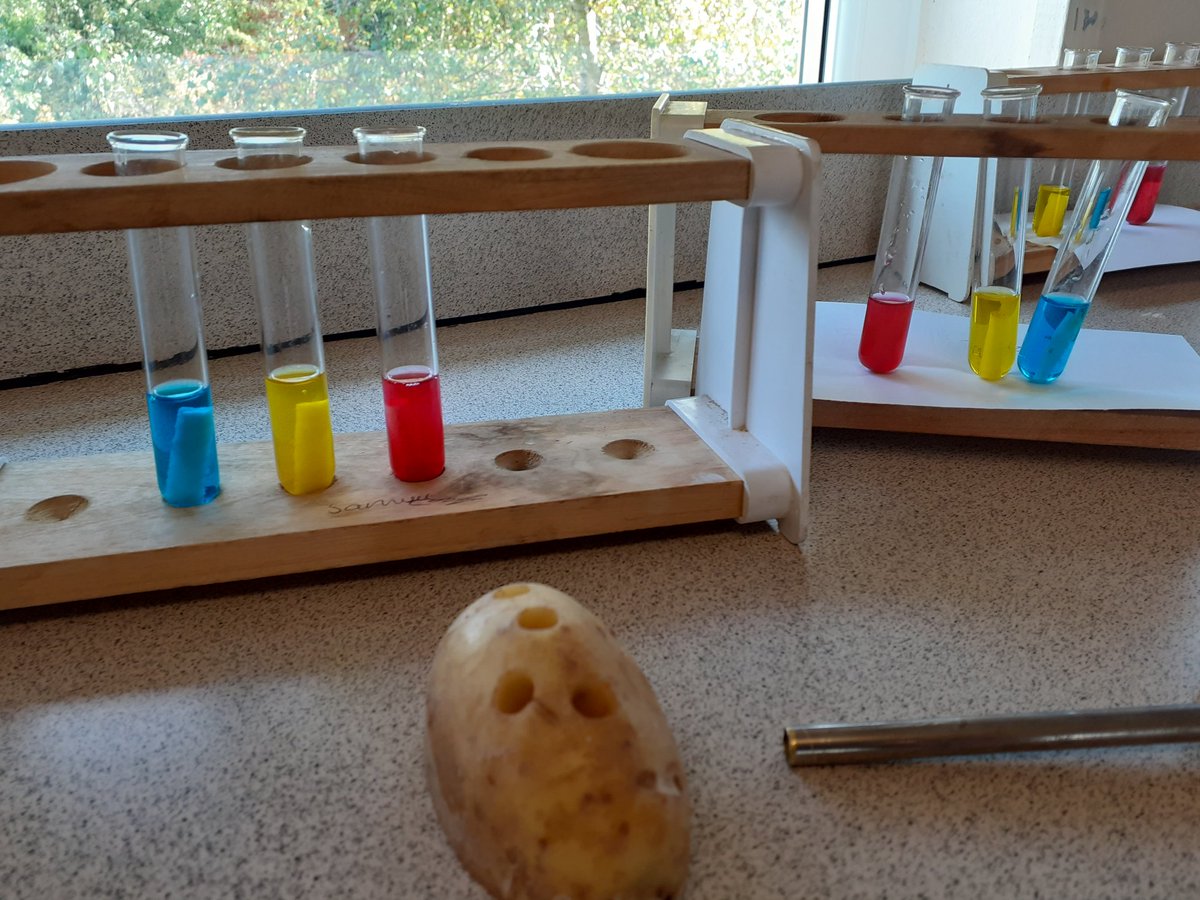 DECSScience's tweet image. Year 10 students have been investigating osmosis today.  They have left tubes of potato in different solutions,  one in pure water,  one in weak salt solution and one in a strong salt solution.  They&apos;ll see the results tomorrow!