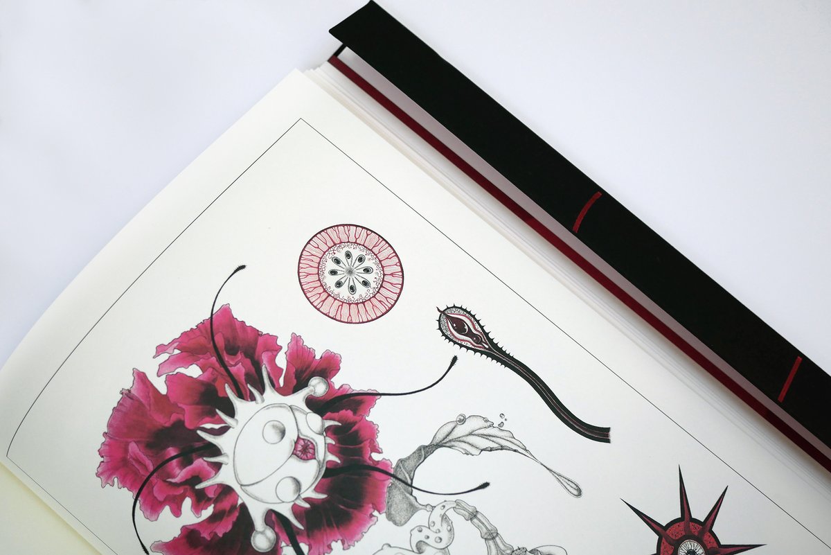 zoetica's tweet image. I'm thrilled to announce my art book, 𝘾𝙝𝙞𝙢𝙚𝙧𝙞𝙘 𝙃𝙚𝙧𝙗𝙖𝙧𝙞𝙪𝙢. zoeticaebb.com/shop This sumptuous tome contains the complete #AlienBotany art archive &amp;amp; a record of the new forms these plants have taken since this infectious collection was discovered on Earth🩸👽🌺
