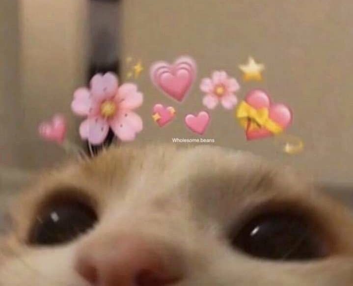 OVERCUTE__PESEC's tweet photo. @rosenquiz Thanks! https://t.co/oyPYVzmFHE