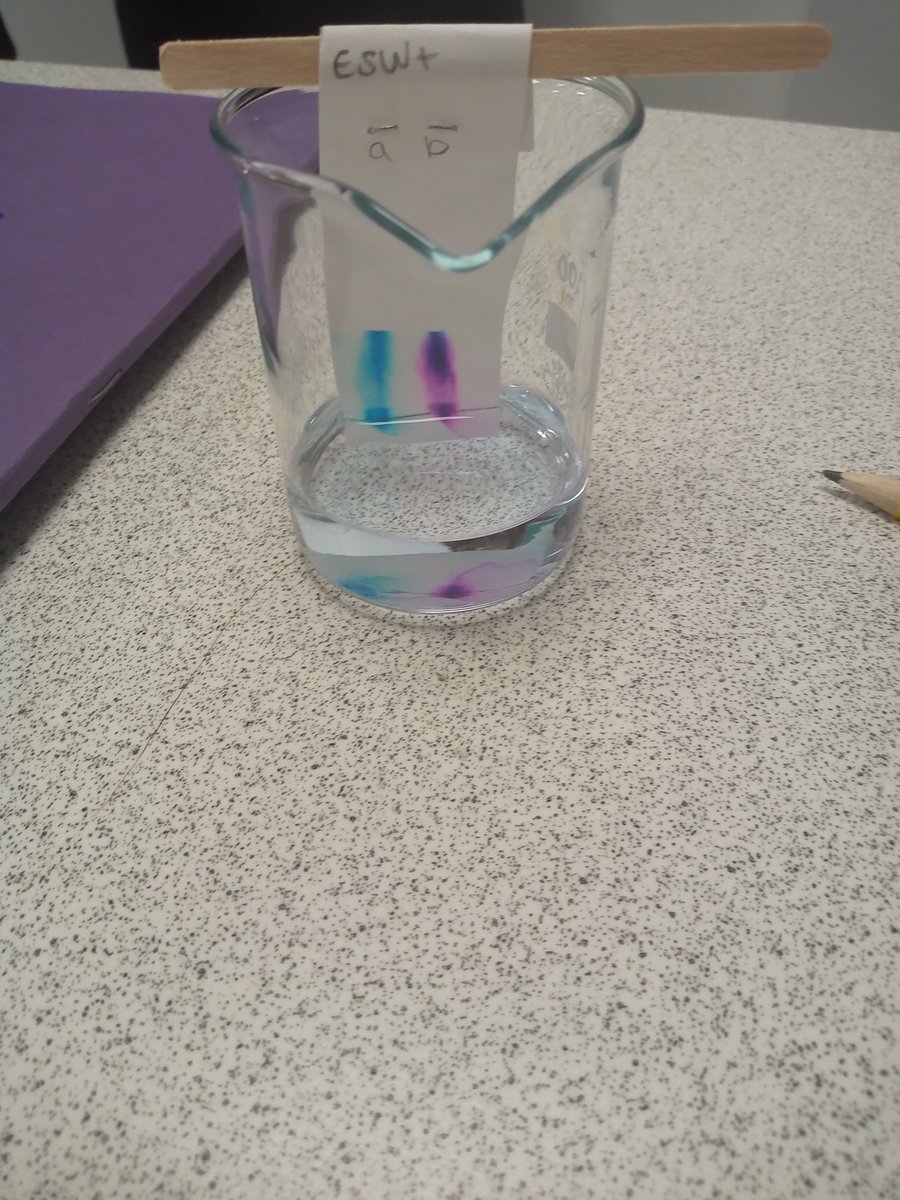 science_utc's tweet photo. Year 9 practicing following a visual method to conduct their chromatography investigation. @ScarboroughUTC https://t.co/33Fli34ZQw