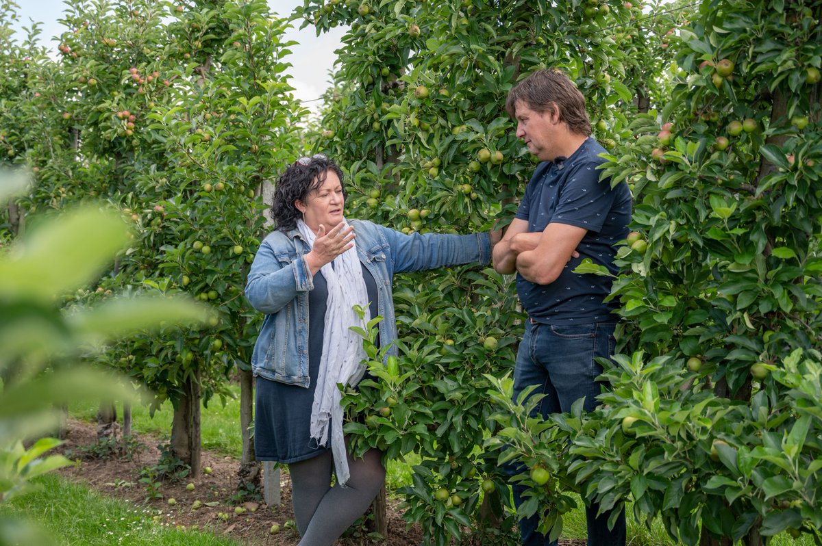 Het is vandaag #thankafarmerday! 👩‍🌾🐖 Vandaag wordt er wereldwijd aandacht gevraagd voor de hardwerkende boeren die verantwoordelijk zijn voor onze voedselproductie. Wij zijn trots op onze Nederlandse boeren die er elke dag voor zorgen dat er eten op tafel staat! 🥔🧑‍🌾