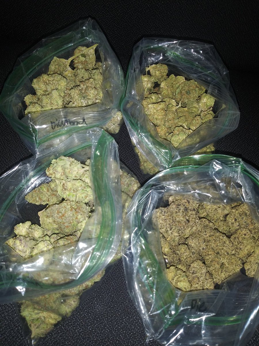 420NoBrainz's tweet photo. #DiamondOG #WhiteAngelOG #RedVelvet #GeorgiaPie https://t.co/X7xxwVz06s
