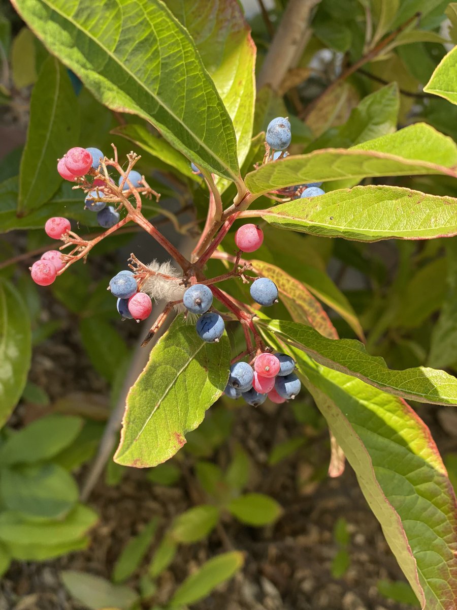 #deepcleansingbreath