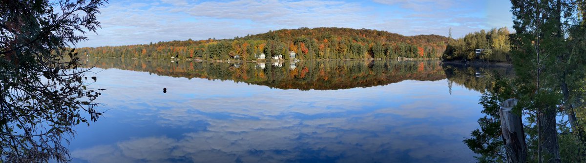 otherpath's tweet image. #ColourfulFall