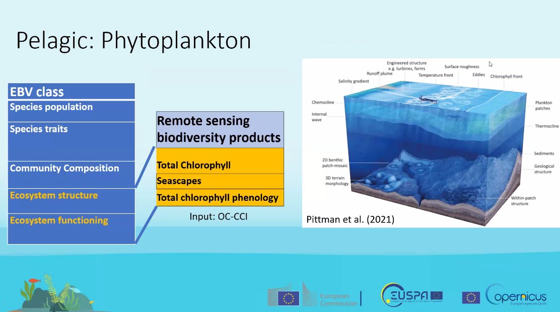 sheilaheymans's tweet photo. @PlymouthMarine @BicomeProject the #EOVs in coastal areas - intertidal, subtidal and pelagic ...intertidal: species population; ecosystem structure; phytoplankton: how seascapes define the ecosystem ... https://t.co/wwyVuHaTky