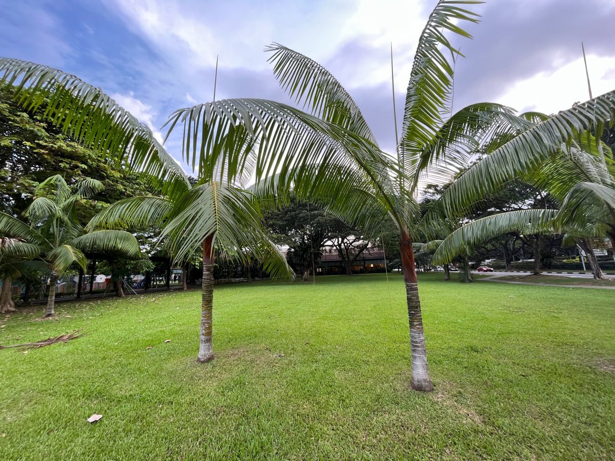 Dreams are like a pair of wings, helping those who have dreams to fly through all difficulties and dangers to their ideal sky.