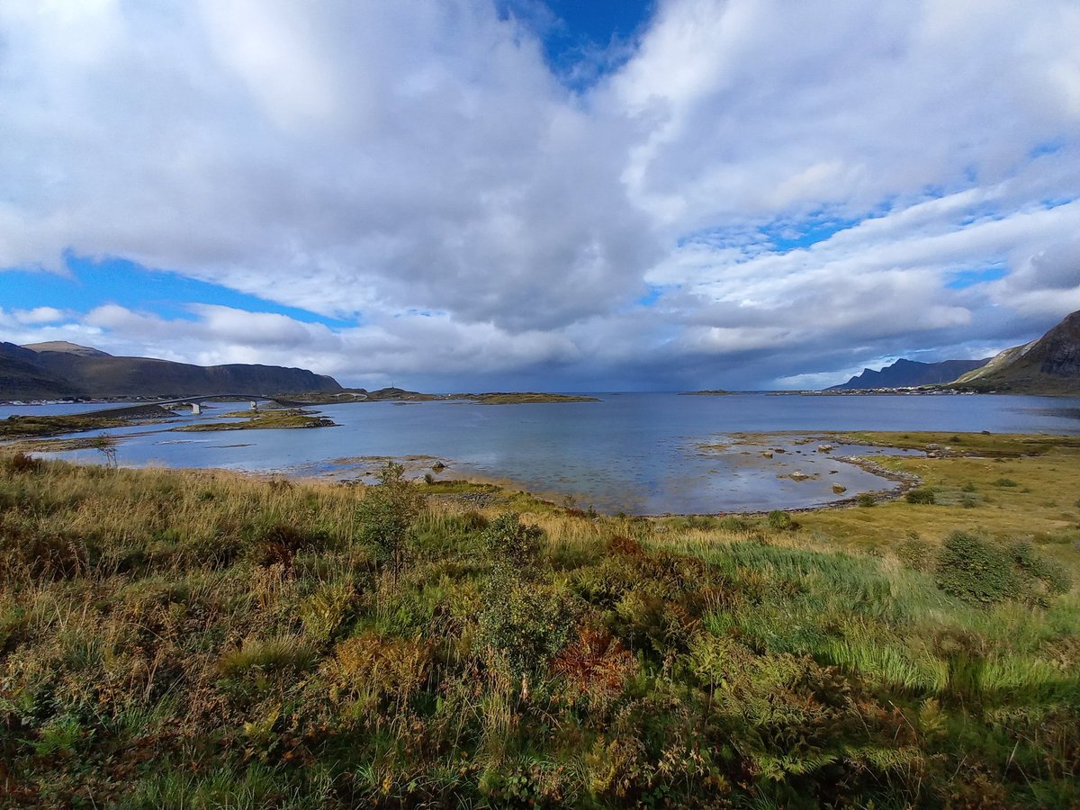 laisameta's tweet photo. @joelle_lb GM from almost northern Norway https://t.co/yiqRRaWcUV