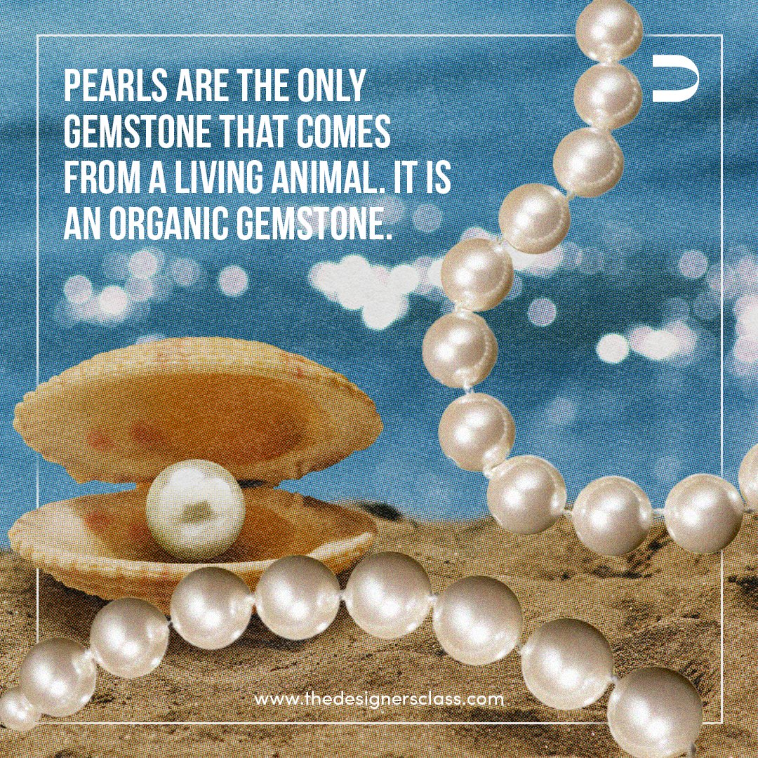 DesignersClass's tweet image. When it comes to the most valuable accessories, we all know that diamonds top the list but pearls should not be overlooked. Pearls are not only precious stones, but they are the only organic gemstones!

#FactCheck #TDC #Fact #TheDesignersClass #DesignEverywhere #Jewellery #Pearls
