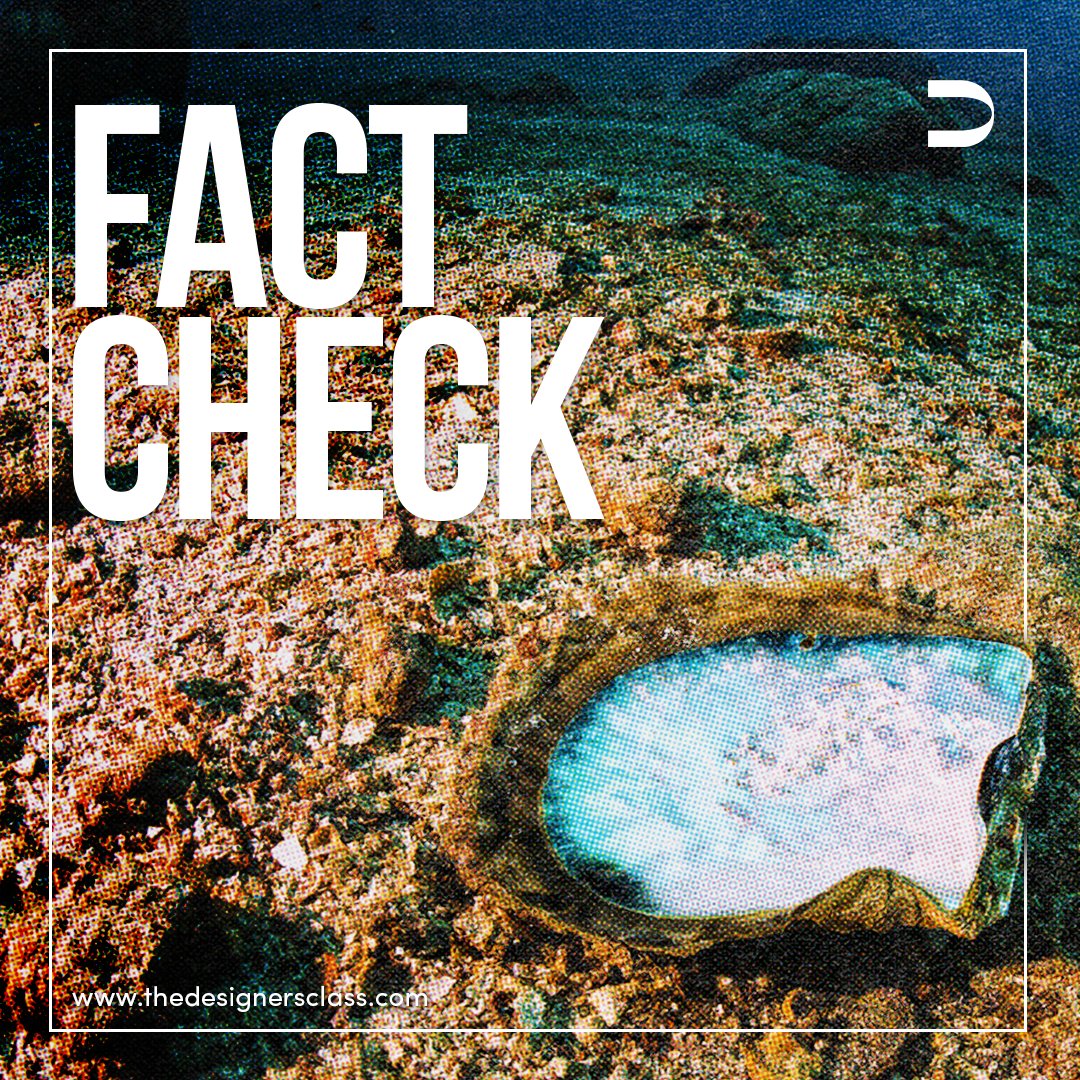 DesignersClass's tweet image. When it comes to the most valuable accessories, we all know that diamonds top the list but pearls should not be overlooked. Pearls are not only precious stones, but they are the only organic gemstones!

#FactCheck #TDC #Fact #TheDesignersClass #DesignEverywhere #Jewellery #Pearls