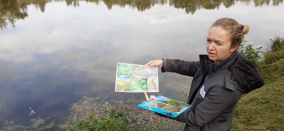 En Direct des marais de Picquigny, dans le cadre de la #FDS2022, conférence sur les espèces envahissantes comme l'Elodée de Nutail par <a href="/CENHDF/">CEN_Hautsdefrance</a> <a href="/PicardieNature/">Picardie Nature</a> <a href="/Somme_Nature/">Somme Nature Groupe</a> . <a href="/Ombelliscience/">Ombelliscience</a> <a href="/UMR_EDYSAN/">EDYSAN</a>