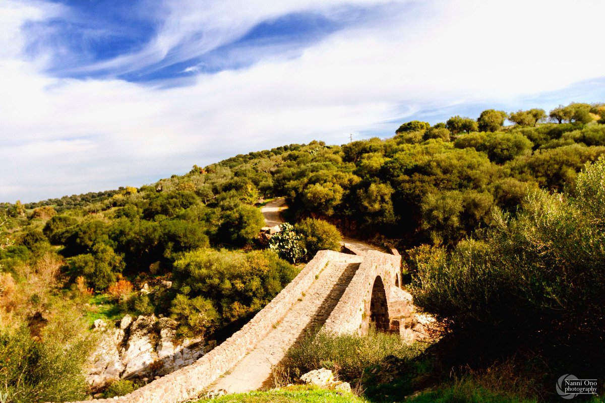 OnoNanni's tweet photo. Pont’Etzu. #italy #sardinia #illorai #goceano #borgo #photography #pontetzu #romanic #bridge #photographer #landscape #olivastro #mediterraneo #sardegna #isola https://t.co/Nngbmf6ZUL