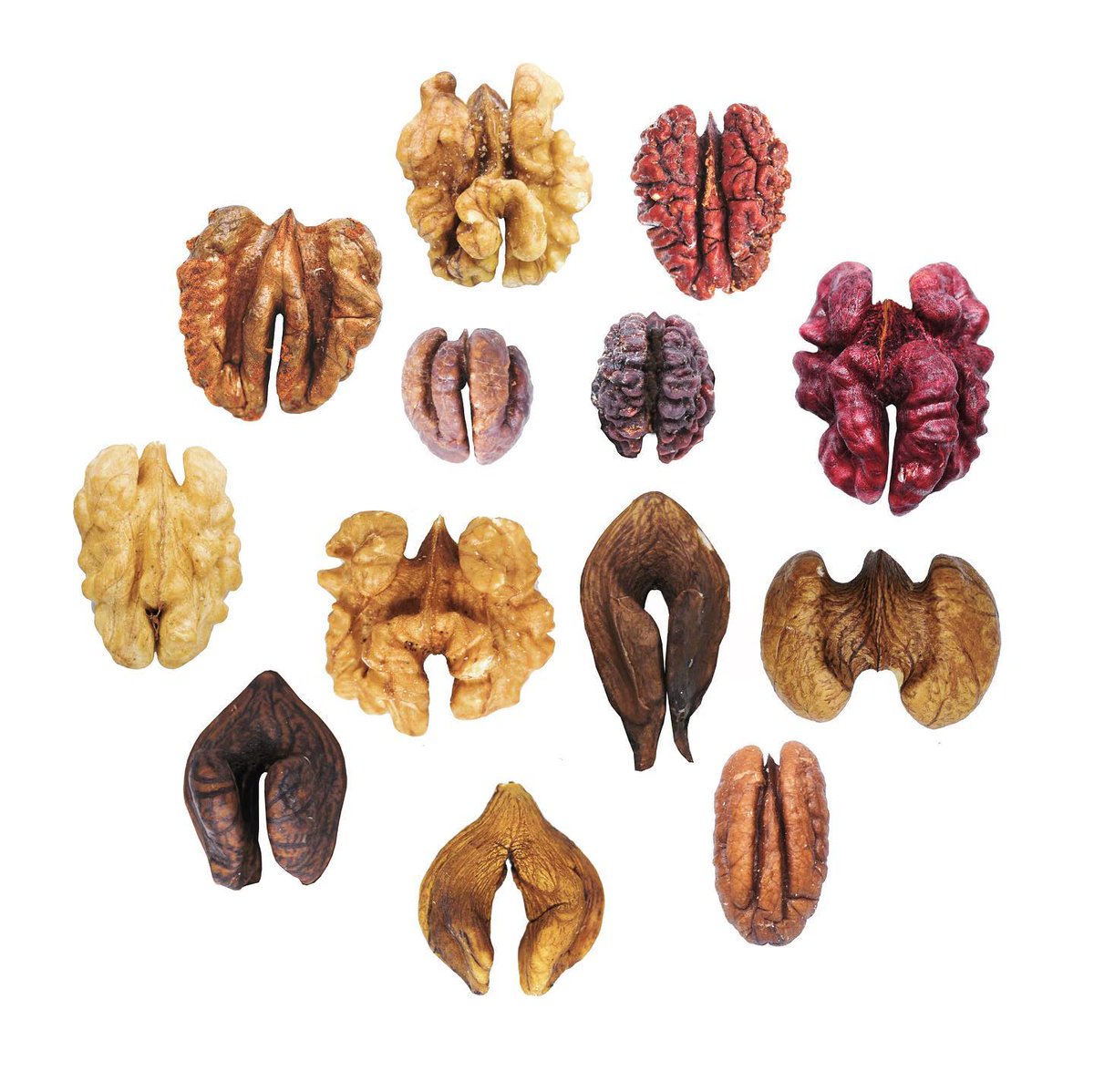 Puddle Water Icecreams on Twitter "RT jdfrei Kernels showing the