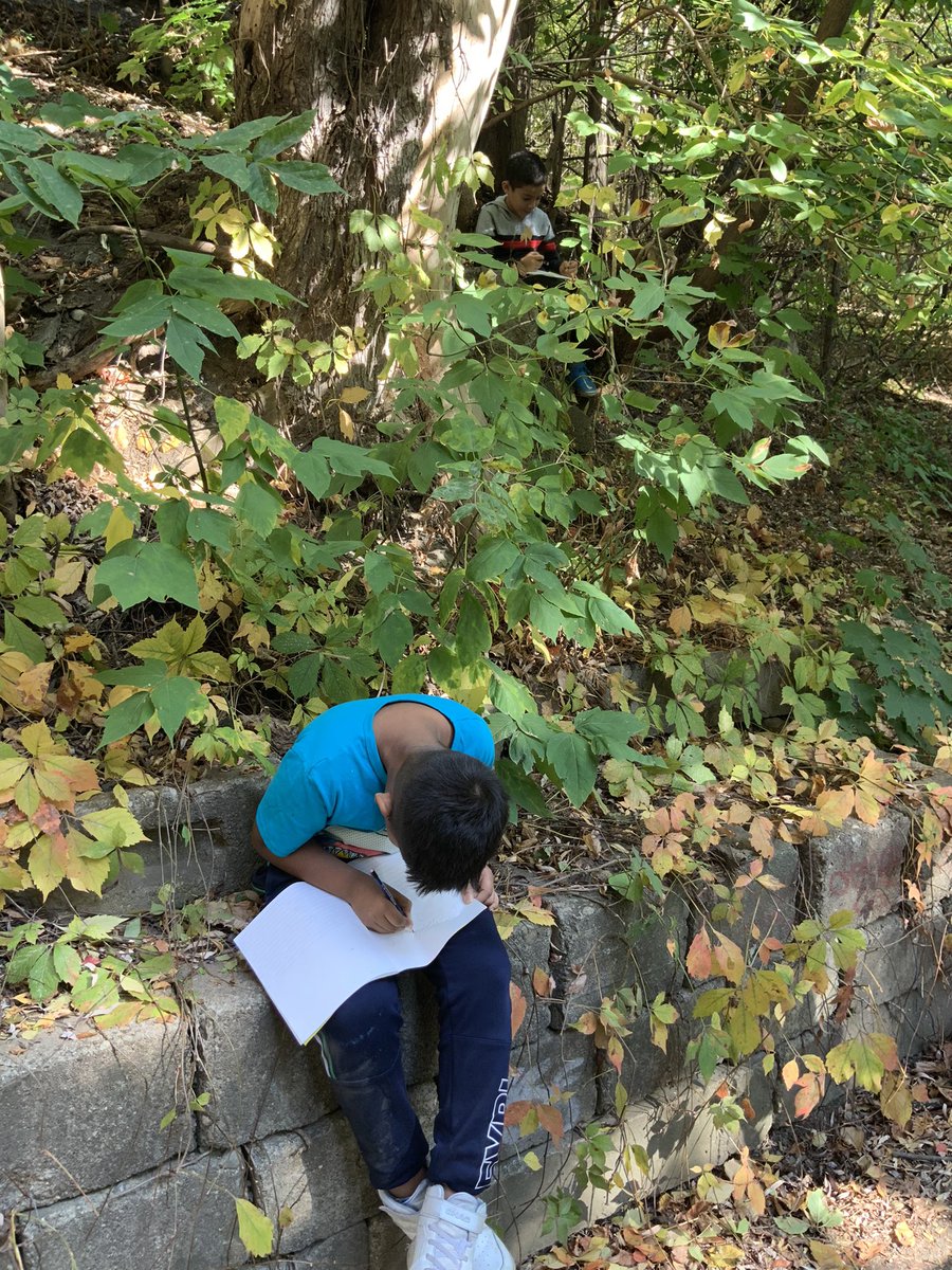 kindyfriends's tweet photo. Yesterday, I joined a grade 5 class as we continue to build relationships with the land. We started #sitspots. WOW. One Ss told us that they felt “calm, comforted, at home”. What a joy to be on this journey with these Ss. @ThornwoodPS @RajniNijjar @PDSBIndigenous @lkmaclean https://t.co/56XGPLXblQ