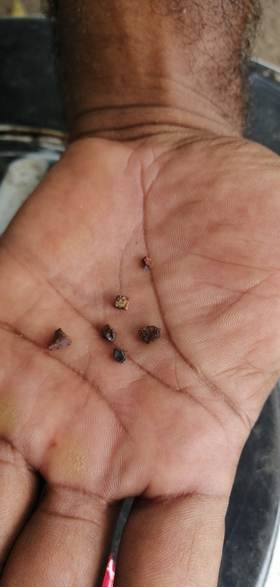 todosxfuturo's tweet photo. Presentan evidencias de contaminación por mercurio:

📍Indígenas Yanomami Alto Orinoco 
📍Comunidades Pemón Canaima 
📍Ye´kwana y Sanema Caura

Informe: contaminación por mercurio y DDHH de @clima21_VE 👇
https://t.co/z9Xrgqb5BJ

📸 @todosxfuturo
 #ResistenciaIndigenaVenezuela https://t.co/iPWCDVdZ6g
