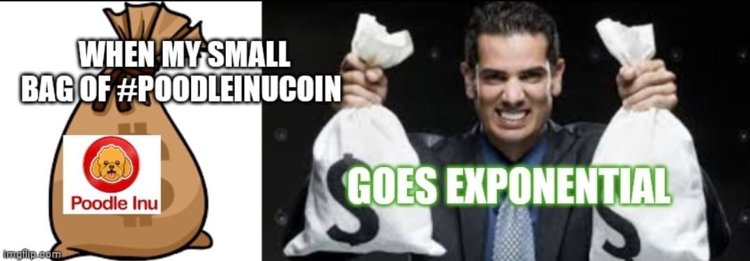 tonfaanthony's tweet photo. Get #PoodleInuCoin and get $doge as extra earning
Join the trend now https://t.co/2gQTANlneV