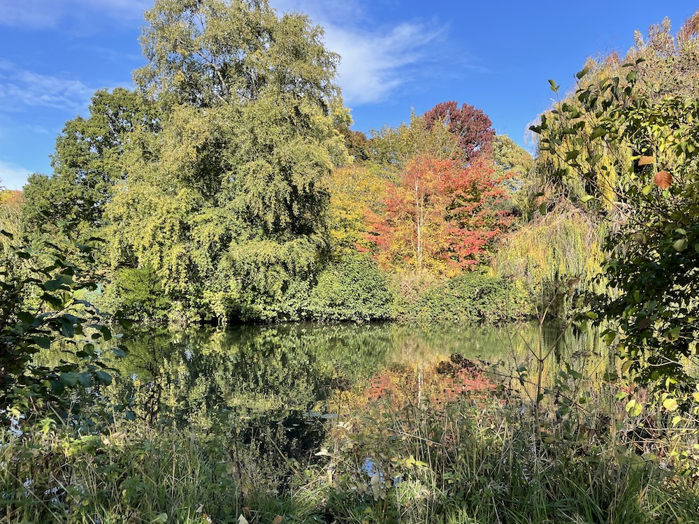 Autumn sunshine in #leamingtonspa #uk <a href="/LoveLeamington/">Royal Leamington Spa</a>