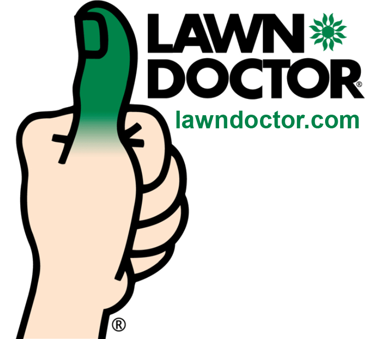 Sponsor Spotlight: Lawn Doctor

Located in St George, our goal is: let you enjoy time outside with friends, family and pets.

We offer:
-industry-leading HydraGuard program
-basic fertilizing
-soil enrichment
-pest control
-organic yard care
-custom programs
-and more...