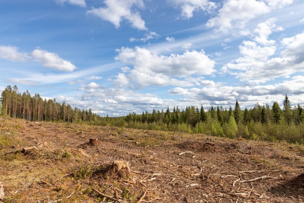 blueorcainvest's tweet image. We are short $EVA, the world’s largest maker of wood pellets, because we think EBITDA is inflated, it will be forced to cut its dividend, and newly discovered data suggests that $EVA is flagrantly greenwashing its wood procurement. 

Full report at blueorcacapital.com