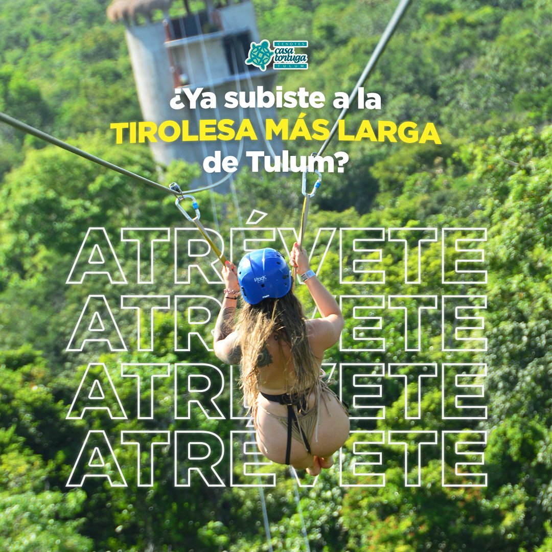 CasaTortuga_'s tweet photo. Admira la belleza natural de #cenotes #casatortuga con la vista que disfrutarás desde nuestra #tirolesa.😱
Con tu entrada, tienes acceso a esta actividad que te hará sentir la #adrenalina al máximo.
¡Te esperamos! 😉
#estademoda #mexico #vacaciones #orgullomexicano #aventura https://t.co/9oMDZhezoo
