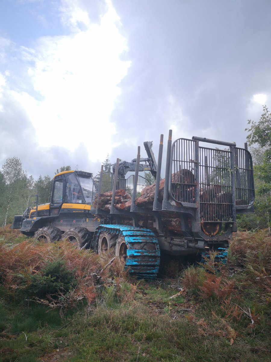 LPABlaRolande's tweet photo. 🌲Tournée forestière #bourgogne avec la classe de Terminale Bac Pro en #forêt et en #machinisme #forestier du @LPABlaRolande  🚜

@Agri_Gouv @bfc_region https://t.co/L5ZysA8Y3z
