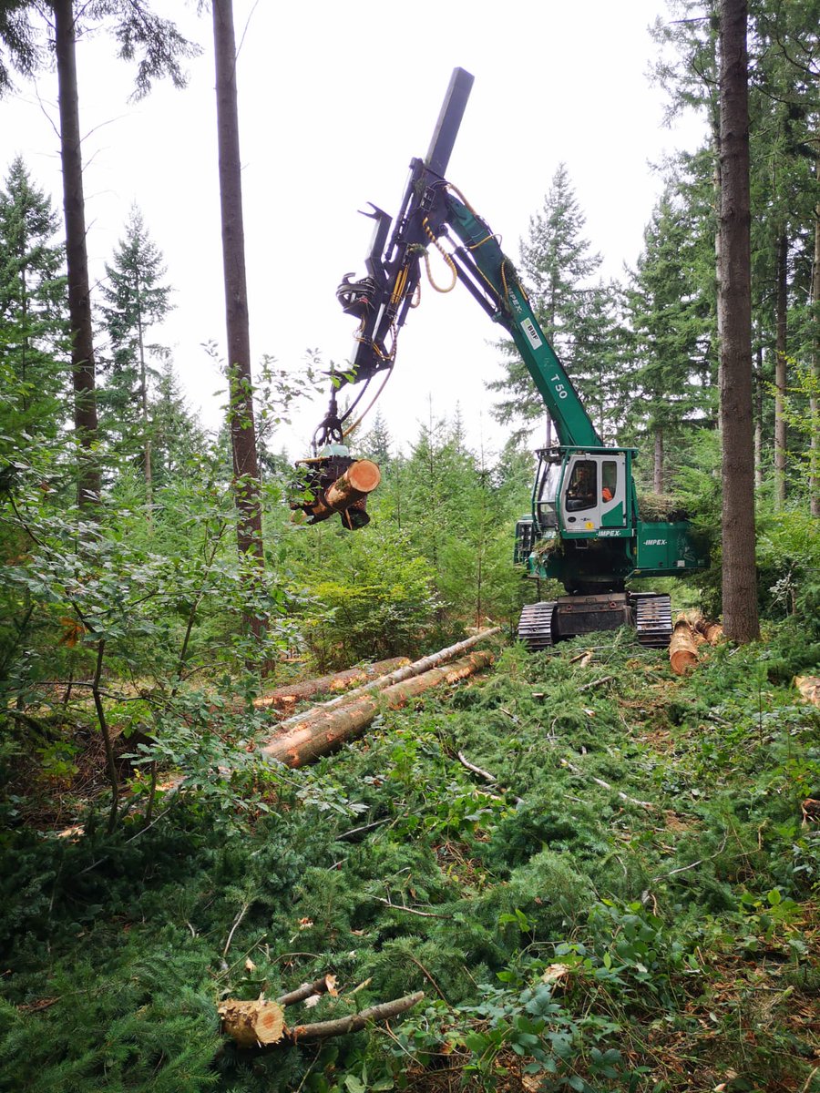 LPABlaRolande's tweet photo. 🌲Tournée forestière #bourgogne avec la classe de Terminale Bac Pro en #forêt et en #machinisme #forestier du @LPABlaRolande  🚜

@Agri_Gouv @bfc_region https://t.co/L5ZysA8Y3z