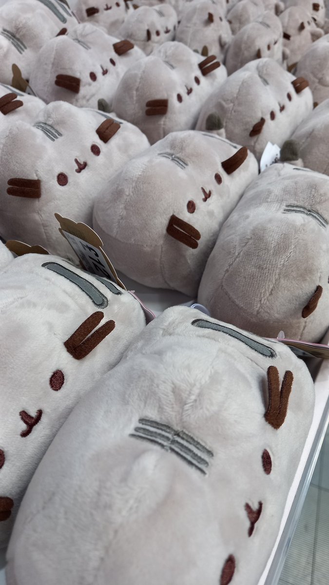 hmvDundee's tweet photo. PUSHEEN IS HERE! Our range is *lovely* and you can get a free Pusheen postcard with any purchase in store now! 

#hmv #Pusheen #merch #merchandise #new https://t.co/OpY6ATh81V