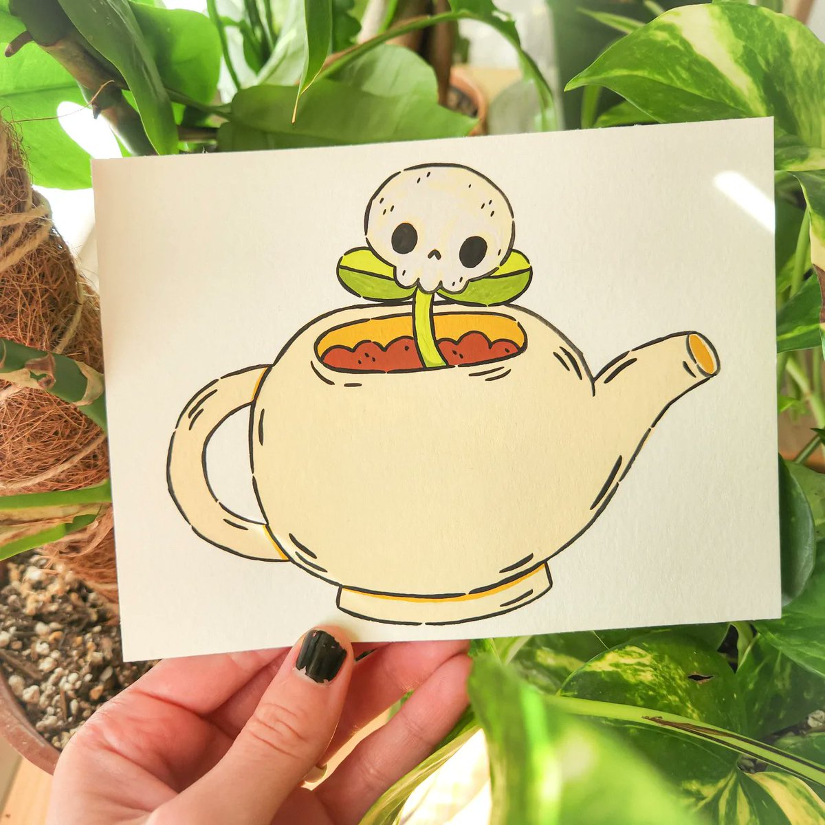 Skull sprout in a teapot #melotober22