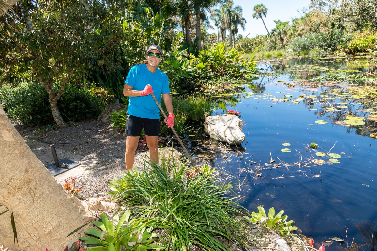 CollierCFFL's tweet photo. Thanks to your donations to the #colliercomestogether fund, we were able to help our friends at @NaplesBotanical when staff housing was damaged by #HurricaneIan with a $12,000 grant. Donate and learn more at https://t.co/sRGUgwIag5 https://t.co/IdJgrOcFxI