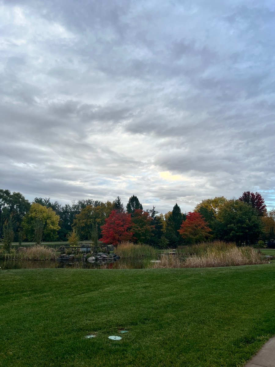 Jessica Bell tweet media