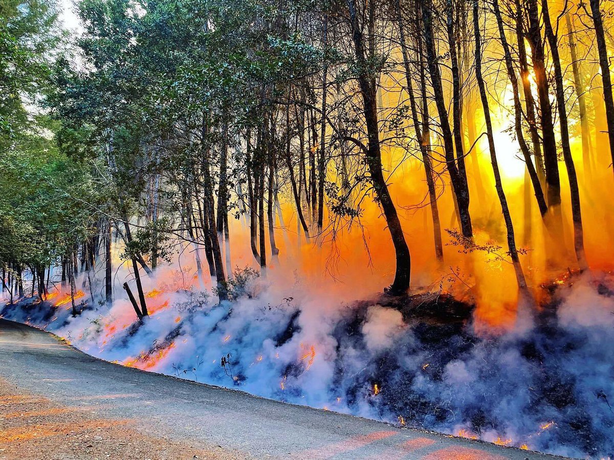 Bill Tripp (@culturalfire) on Twitter photo Photo of yesterdays prescribed burn conducted as part of the Klamath River Prescribed Fire Training Exchange by <a href="/_vpreston/">❤️🔥Vikki❤️🔥</a> #KTREX2022 Photo of yesterdays prescribed burn conducted as part of the Klamath River Prescribed Fire Training Exchange by <a href="/_vpreston/">❤️🔥Vikki❤️🔥</a> #KTREX2022