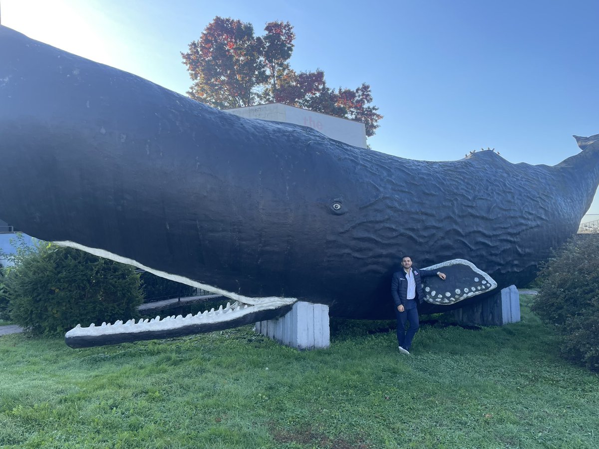 Angelo Bavaro tweet media