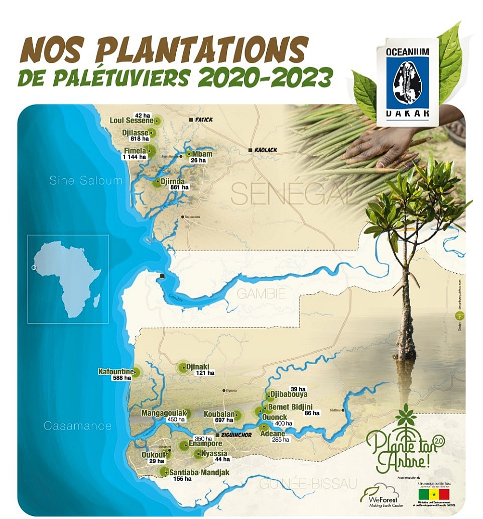 Oceaniumdedakar's tweet photo. La carte de nos reboisements de palétuviers 2020 - 2023 
Plus de 7.000 hectares restaurés soit 35 millions d'arbres plantés ! 🌱

#reboisement #reforestation #mangrovereforestation #climateaction #actfortheplanet #actfortomorrow #everyactcounts #onlyoneearth #noplanetb https://t.co/0m6ap1JxUP