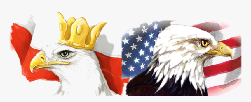 tnrbaroque's tweet photo. Special concert Oct 13! Music of Poland and America in honor of Kościuszko and Pulaski, heroes of the American Revolution, benefitting Love Outreach Food Pantry. Fiona Hughes, Peter Walker, Dominic Giardino, Ryan Lowe @Barboursville 7:30p. https://t.co/Ab8iwm3a1C https://t.co/1NahMRW4SH